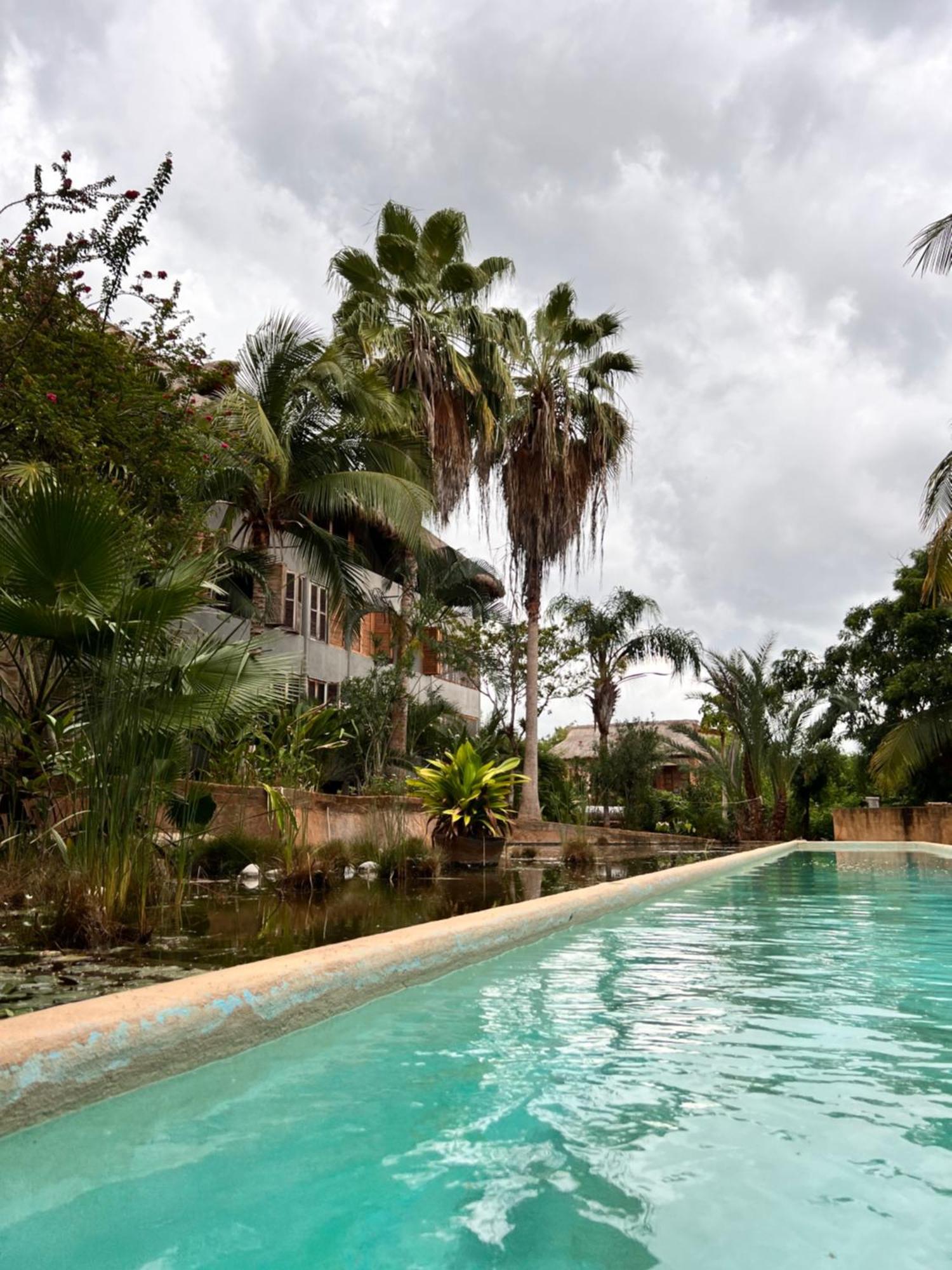 Puerto Escondido Pool, Beach Club, Starlink Wifi & Ac Paso Hondo 外观 照片